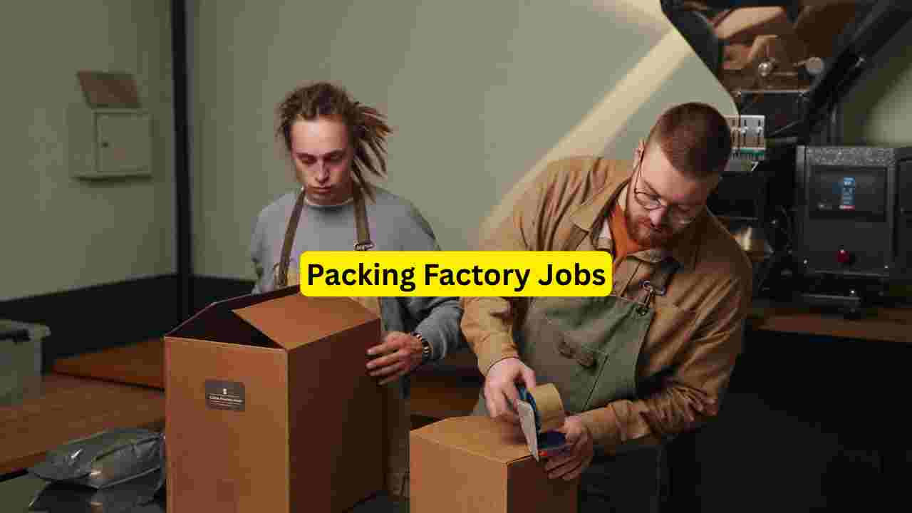 Biscuit Packaging Jobs 2026 Biscuit Packaging Jobs 2026