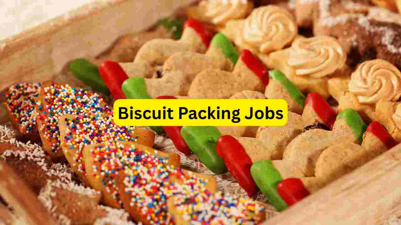 Medicine Delivery Jobs 2026