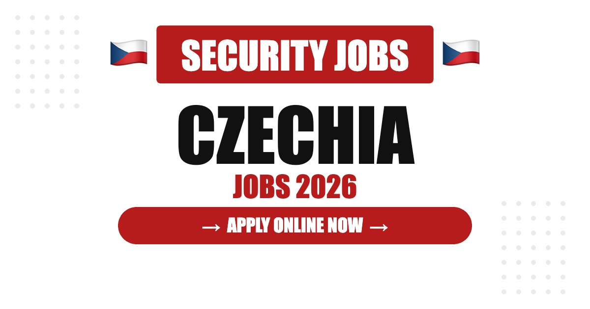 Packaging Jobs in New Zealand: Salary, Requirements & Career Guide